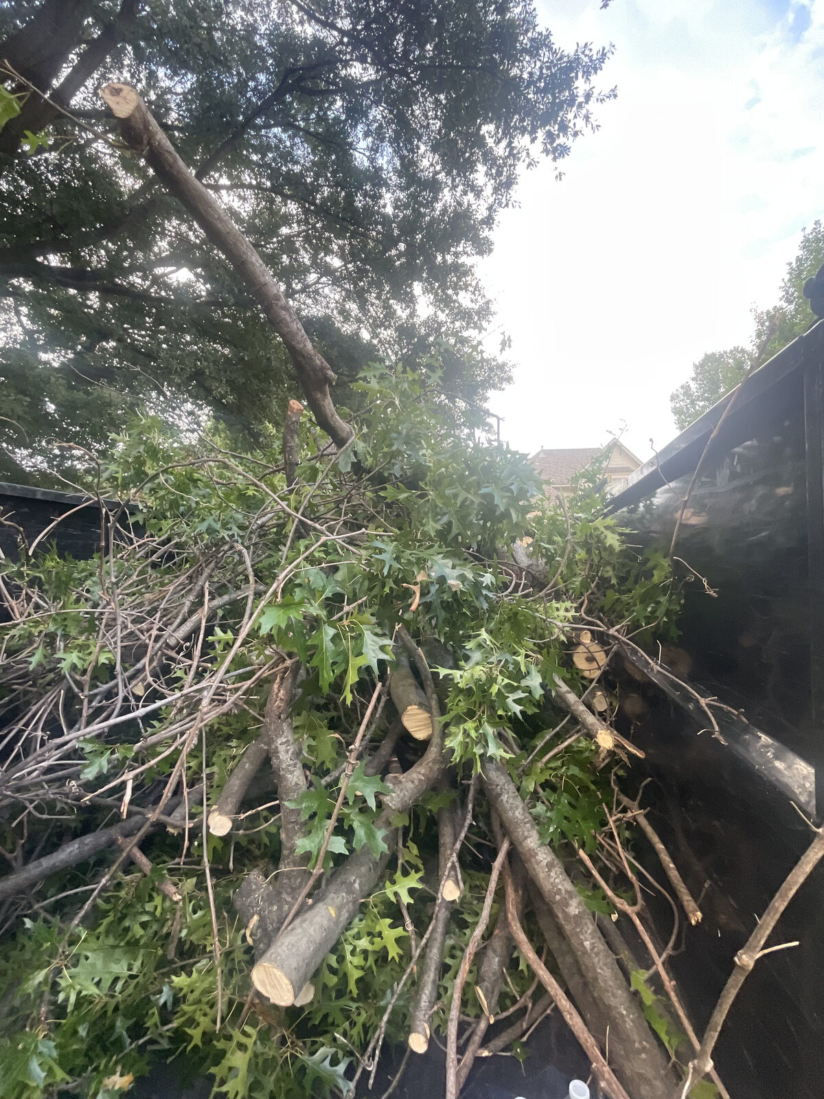 Storm debris cleanup