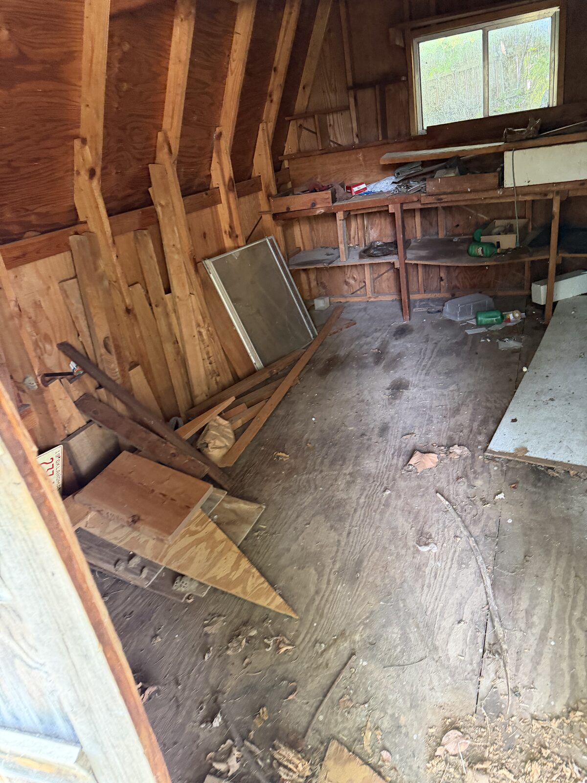 Shed cleanout & light demo