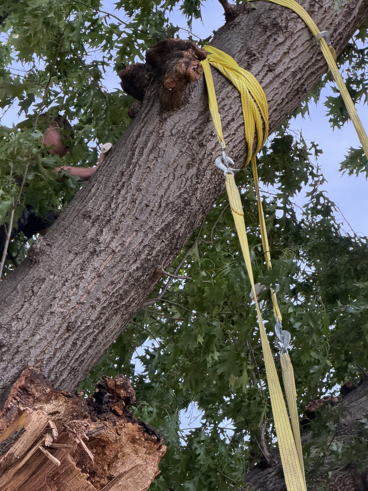 Yard & brush haul-off